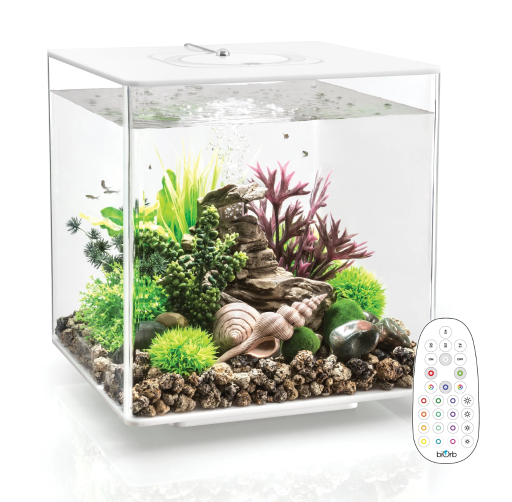 30 gallon store acrylic aquarium