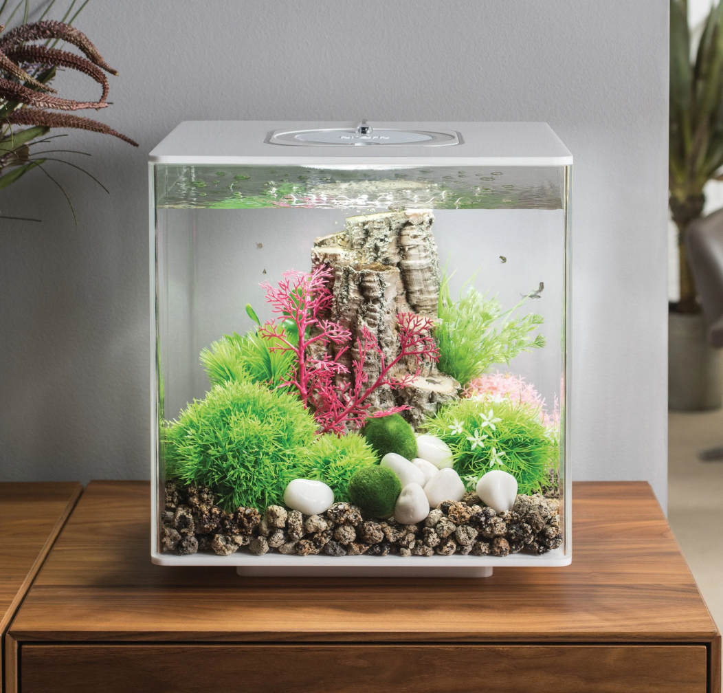Biorb tropical shop
