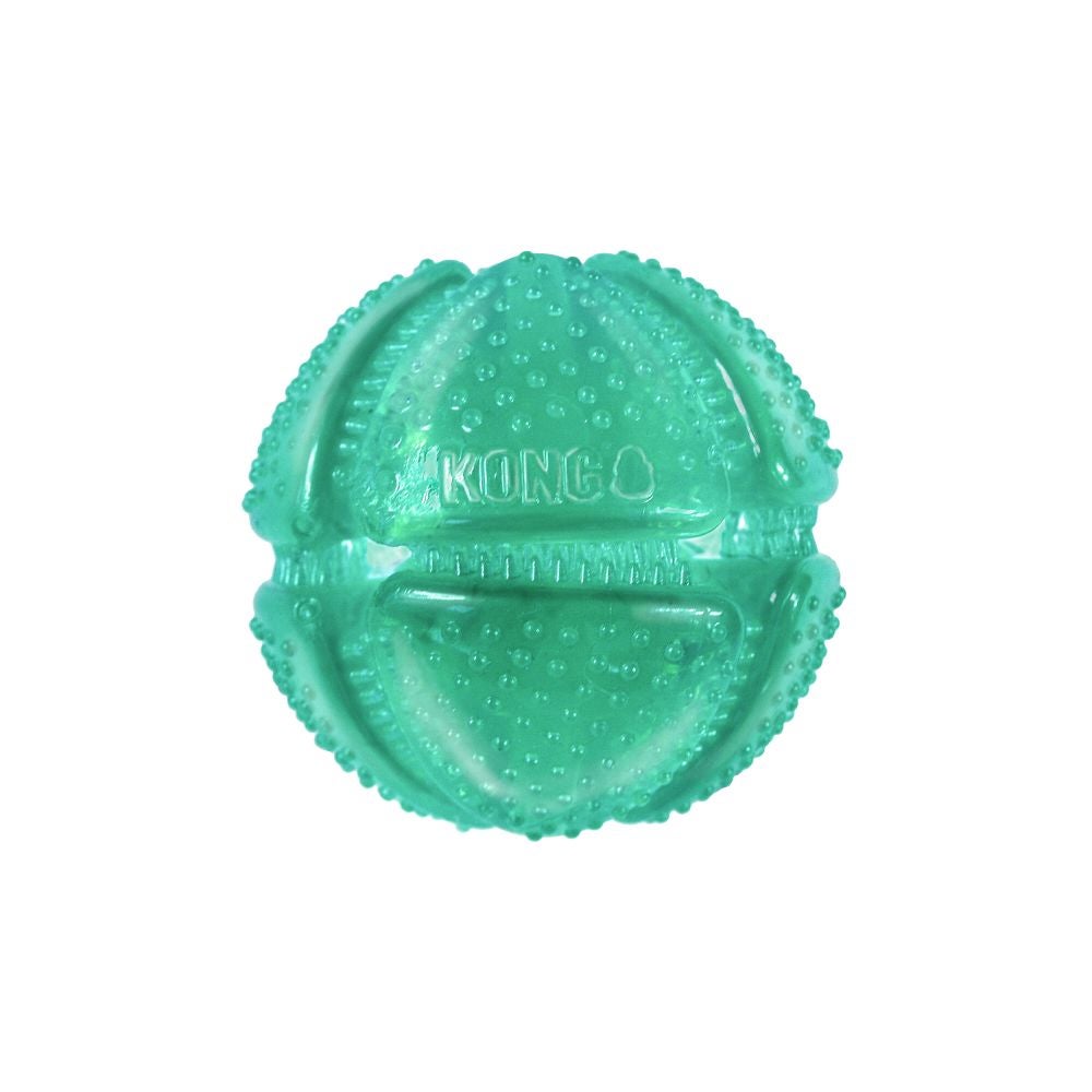 Kong outlet dental toy