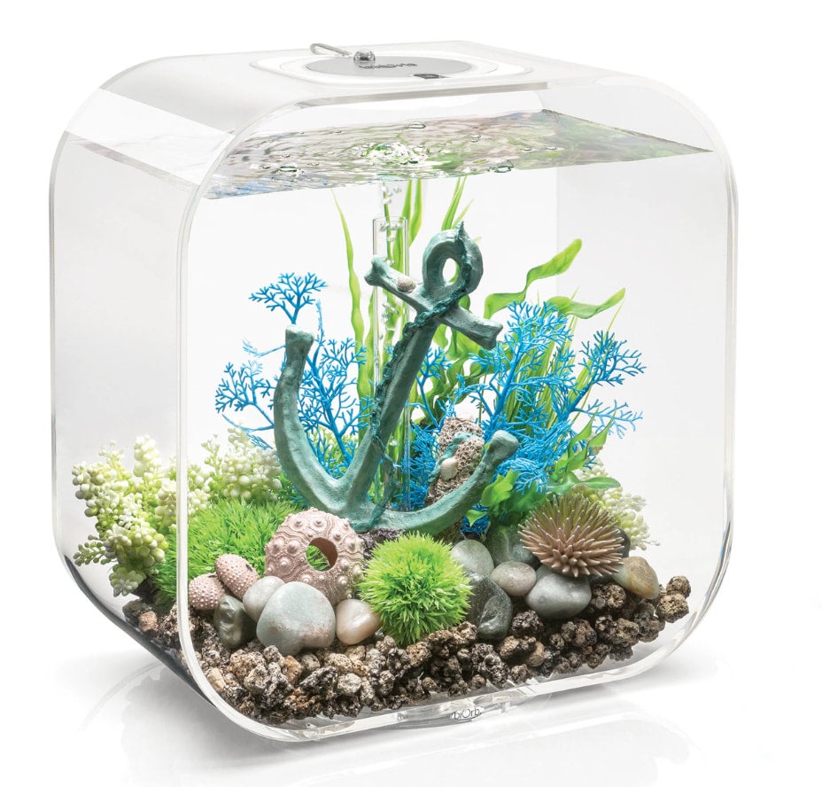 Acrylic aquarium sales tank